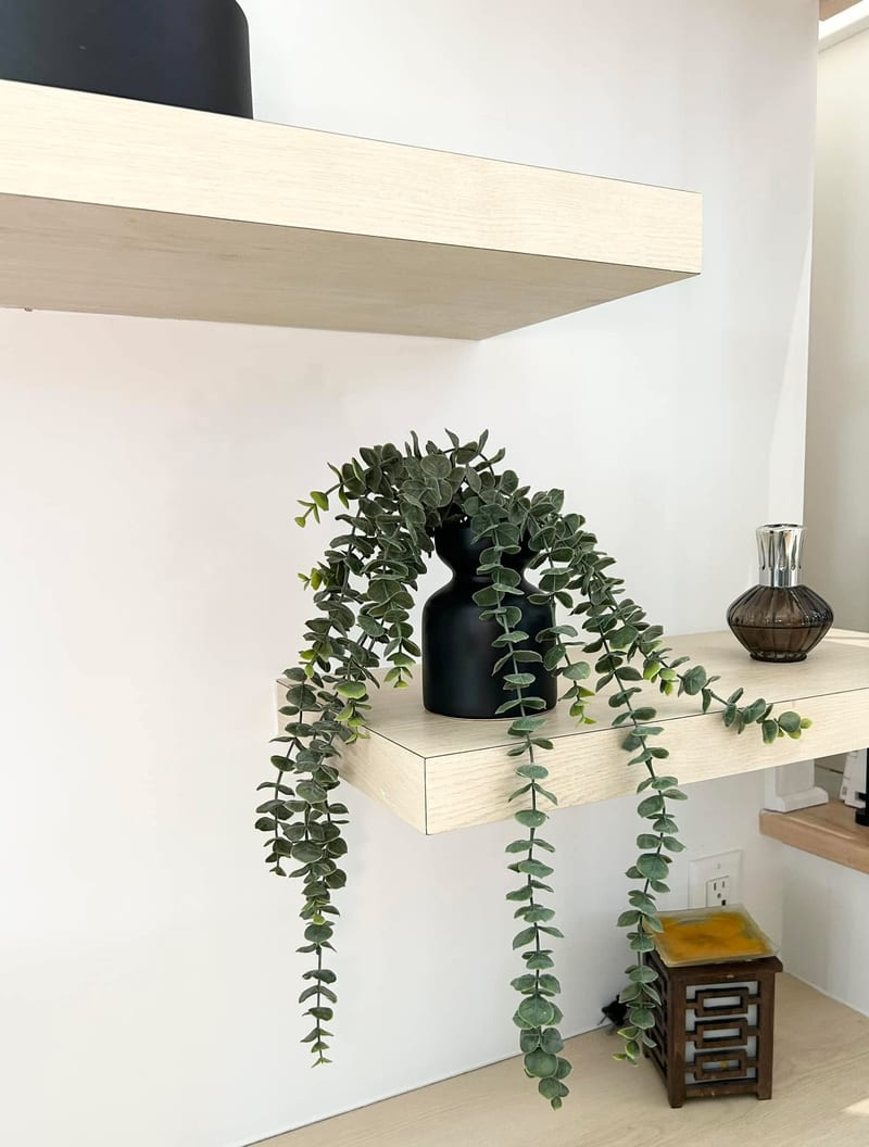 L'Éclaircie — Kitchen